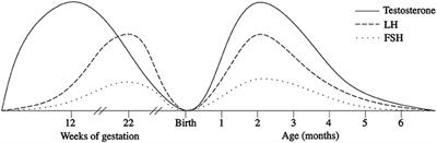 Up-To-Date Review About Minipuberty and Overview on Hypothalamic-Pituitary-Gonadal Axis Activation in Fetal and Neonatal Life